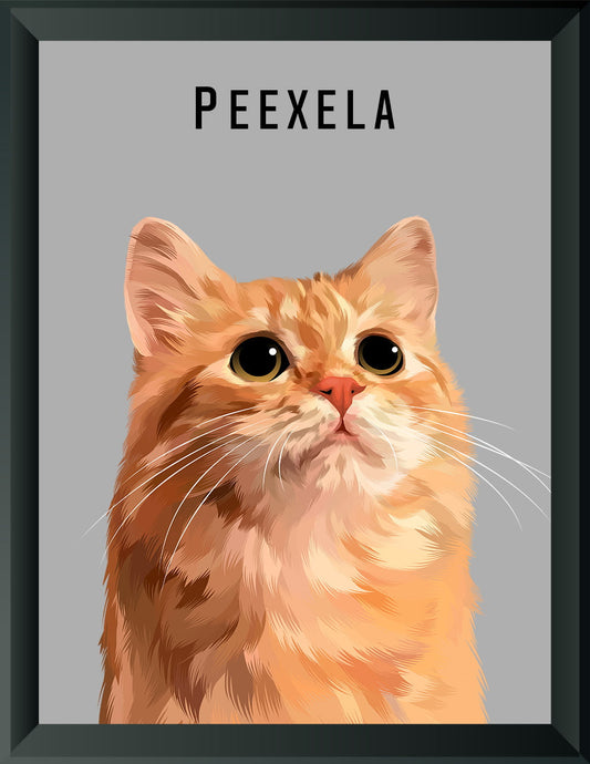 Pet Portrait - One Pet