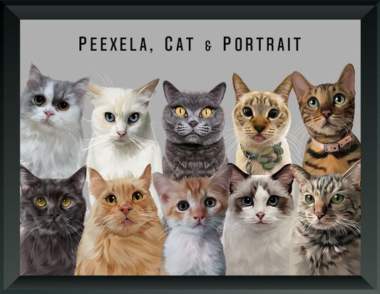 Pet Portrait - Ten Pets