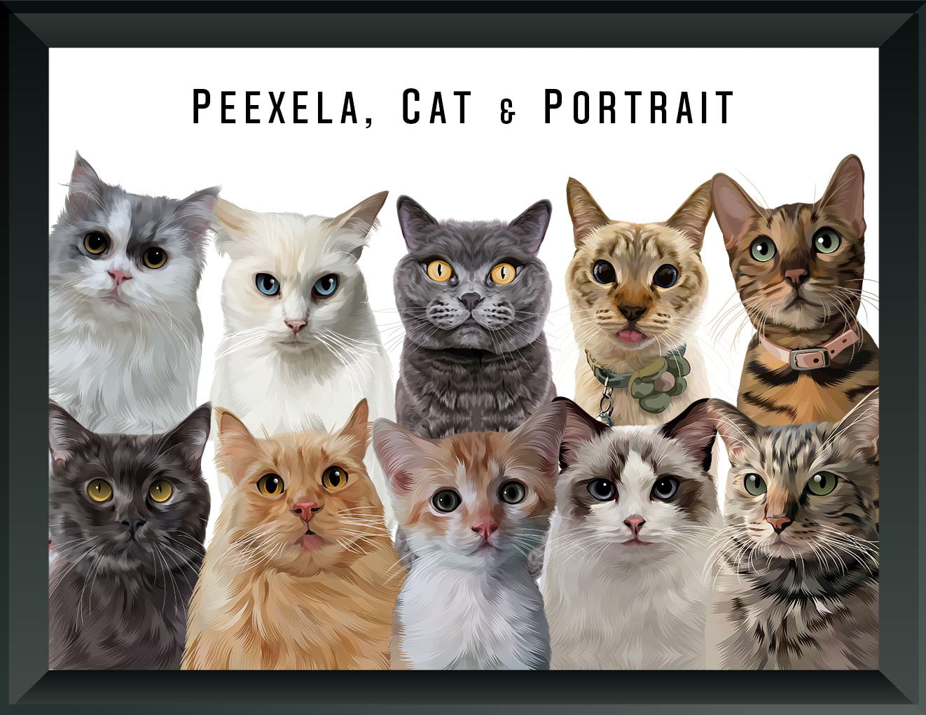 Pet Portrait - Ten Pets
