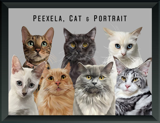 Pet Portrait - Seven Pets