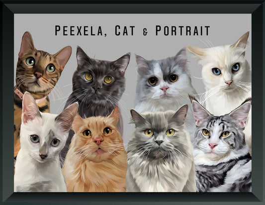 Pet Portrait - Eight Pets
