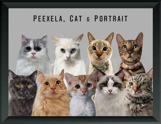 Pet Portrait - Nine Pets