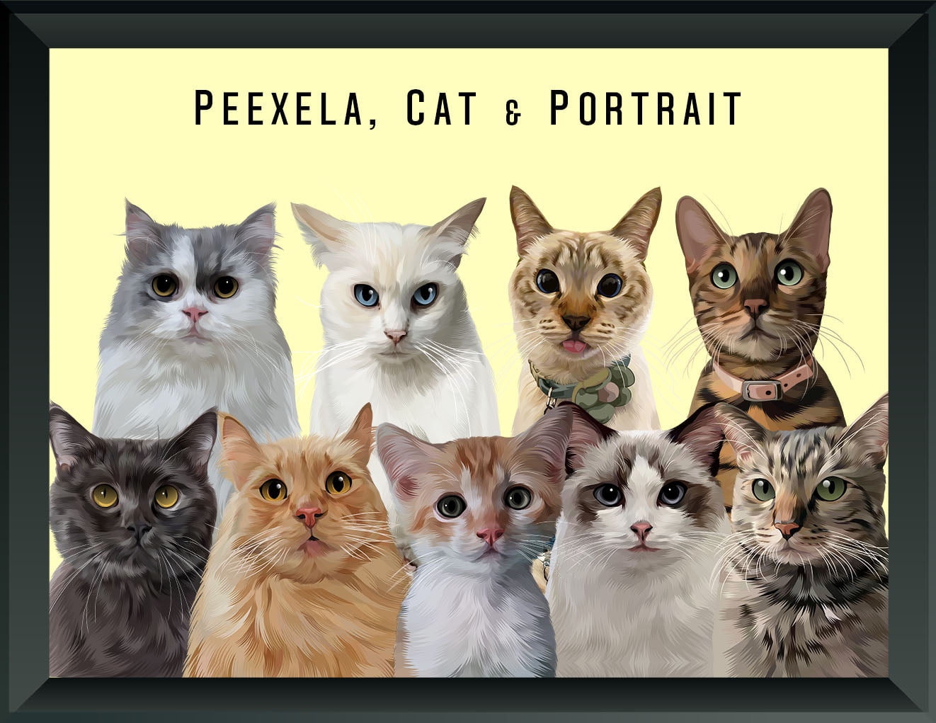 Pet Portrait - Nine Pets