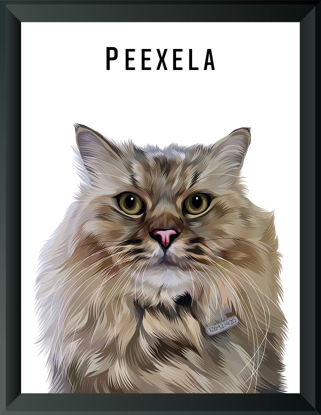 Pet Portrait