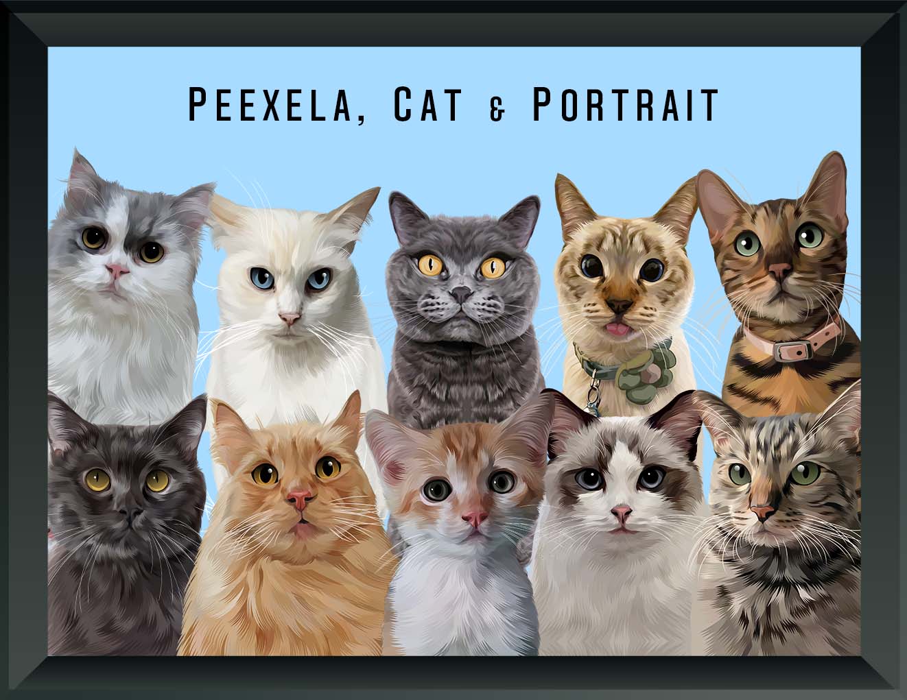 Pet Portrait - Ten Pets